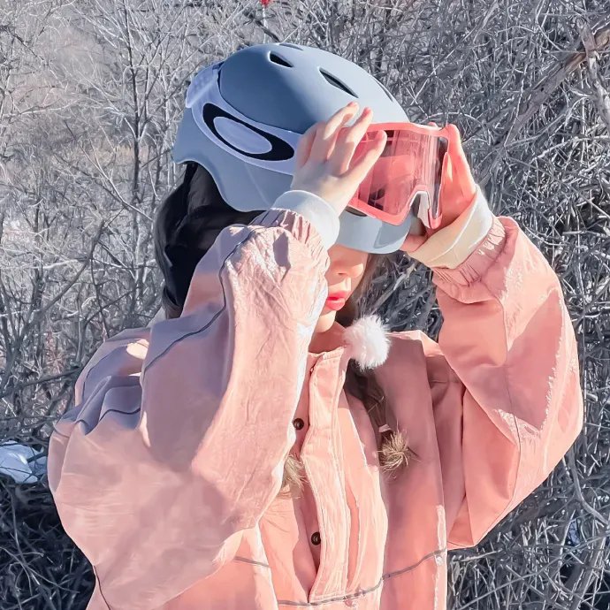 黑帮终结令